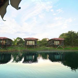 Wood Chalets